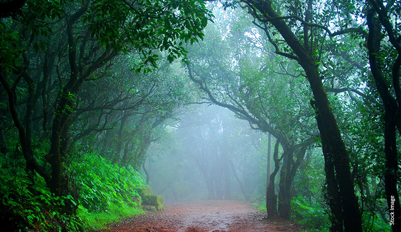 8 Best Places To Visit In Thane In Monsoon (Weekend Getaways)